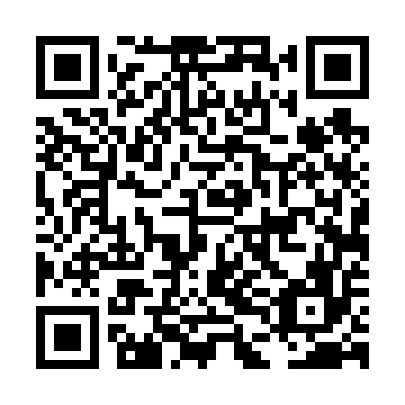 QR code for plate LDD 656