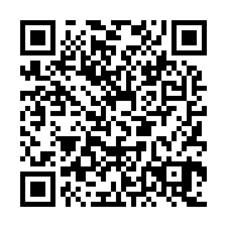 QR code for plate LDD 920