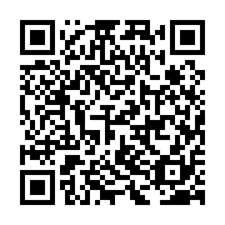 QR code for plate LDE 110
