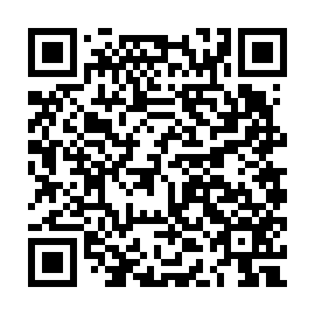 QR code for plate LDF 656