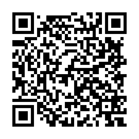 QR code for LDH 868