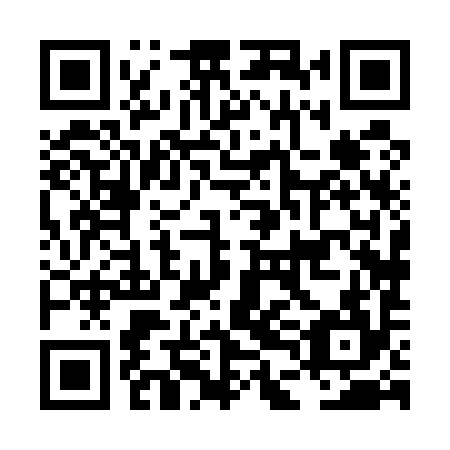 QR code for plate LDH 594