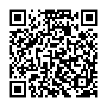 QR code for plate LDJ 893