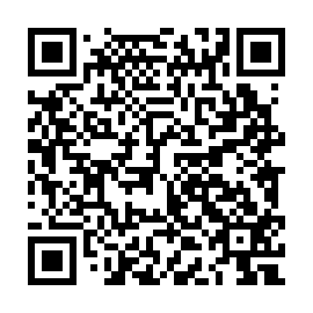 QR code for plate LDL 313