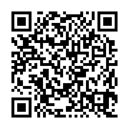 QR code for LDR 381