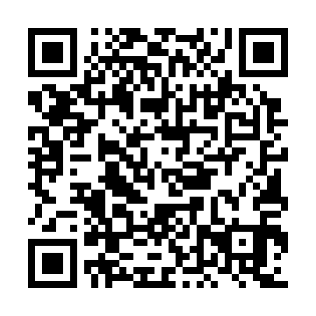 QR code for LDU 311