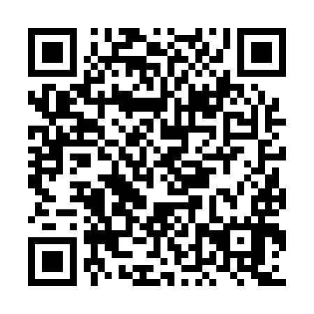 QR code for LDV 197