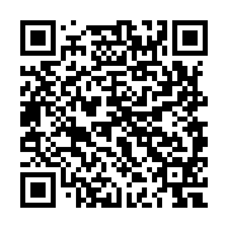 QR code for LDV 994