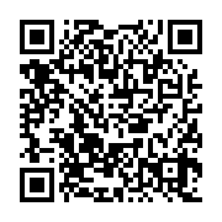 QR code for LDV038