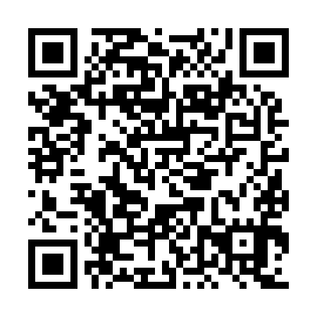 QR code for plate LDV 995