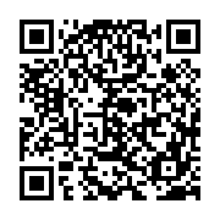 QR code for plate LDX 076