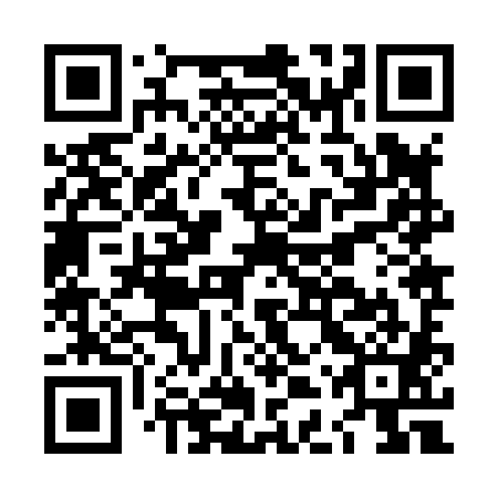 QR code for LDZ 881
