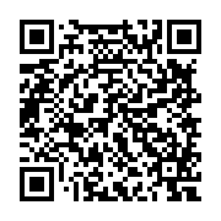 QR code for plate LDZ 885