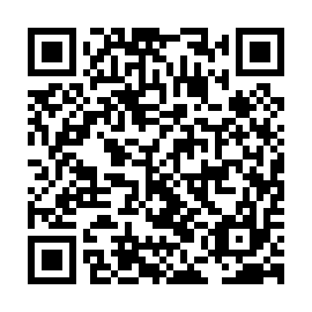 QR code for plate LEA 017