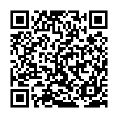 QR code for LEE 517