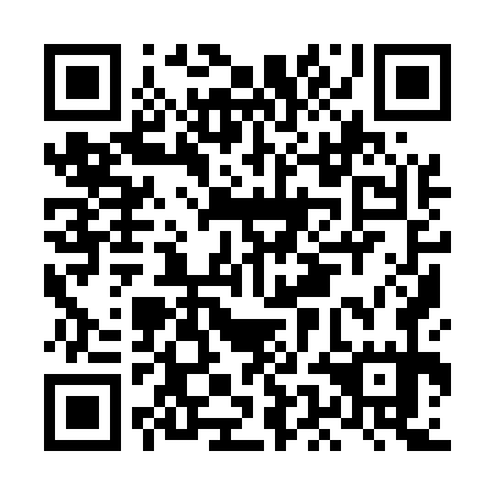 QR code for LEI 575