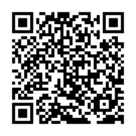 QR code for LEL 295