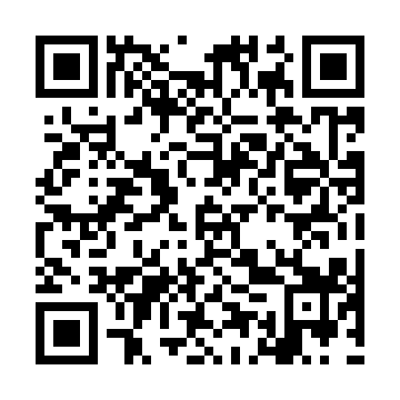 QR code for plate LEP 919