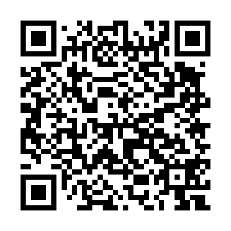 QR code for plate LEU 418