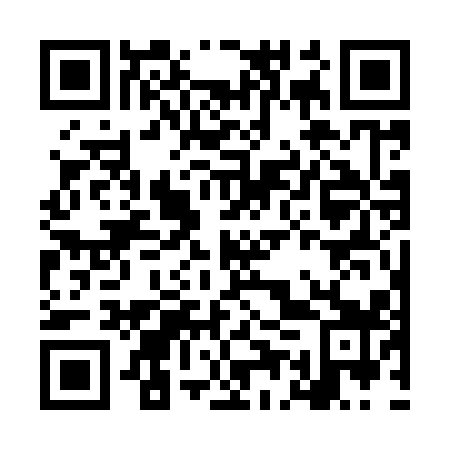 QR code for plate LEW 919