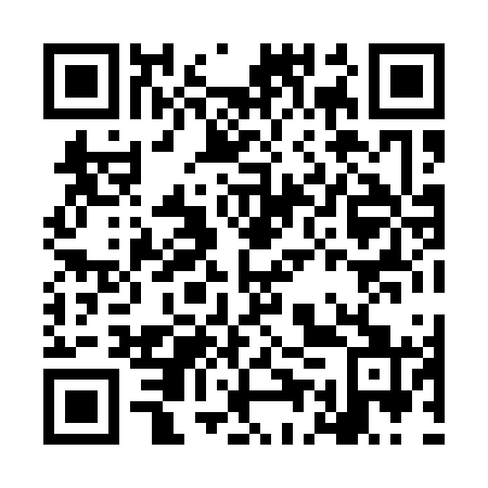 QR code for LEX 161