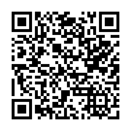 QR code for plate LFD 446