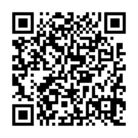 QR code for plate LFD 675