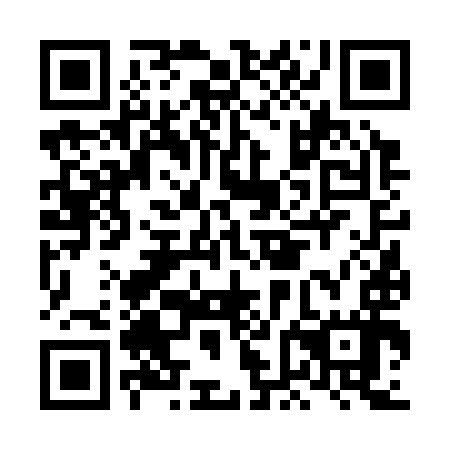 QR code for plate LFF 397