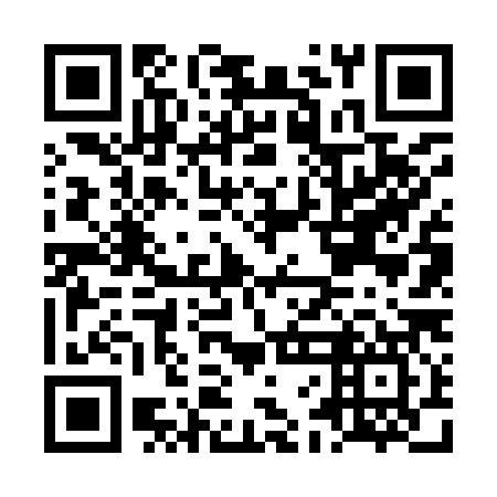 QR code for plate LFF 987