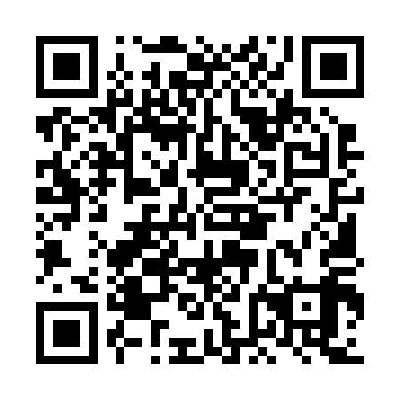 QR code for plate LFM 219