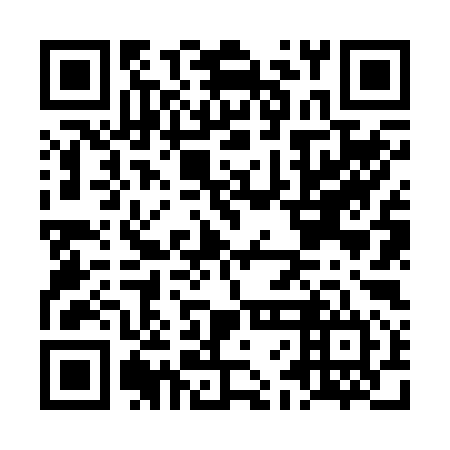 QR code for LFN 294