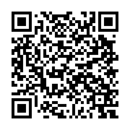 QR code for plate LFQ 063