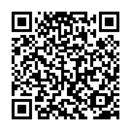 QR code for plate LFV 028