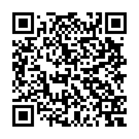 QR code for plate LFY 033
