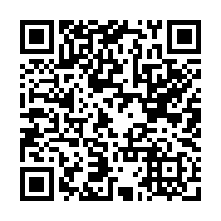 QR code for plate LFY 398