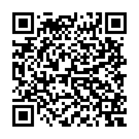 QR code for plate LGH 500