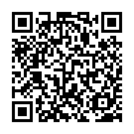 QR code for LGS 295
