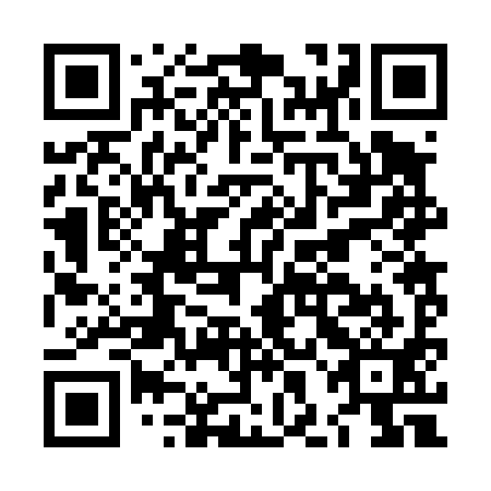 QR code for plate LHB 491