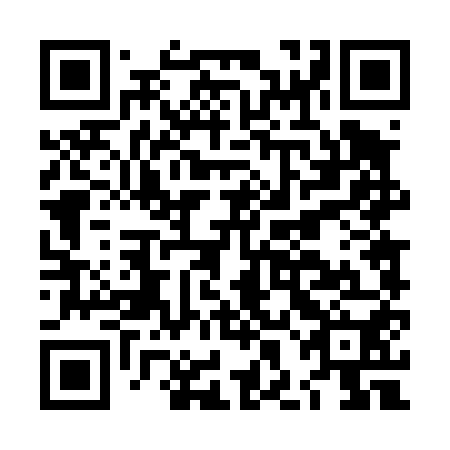 QR code for plate LHD 450