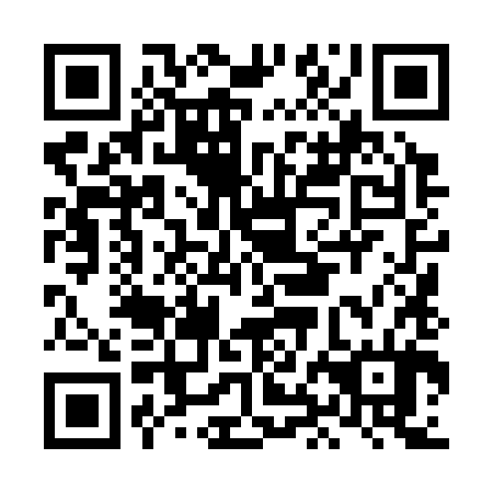 QR code for LHL384