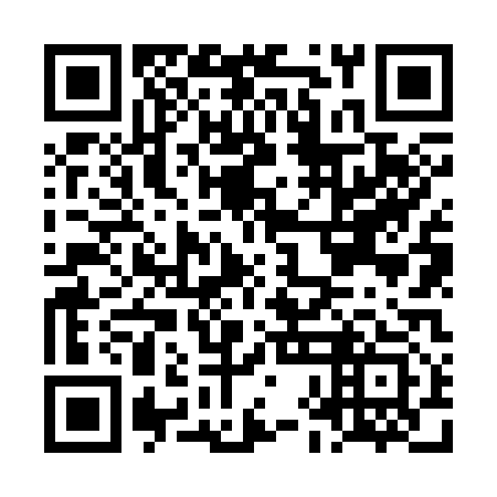 QR code for LHN 313