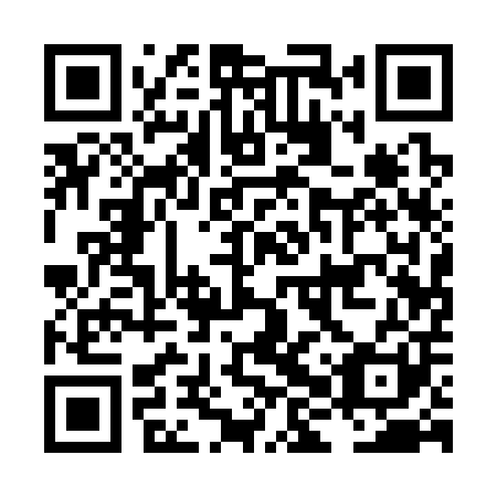 QR code for plate LHQ 301