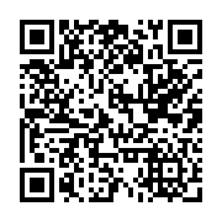 QR code for plate LHR 106