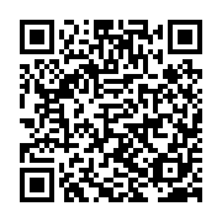 QR code for LHV 250