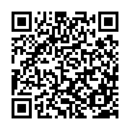 QR code for plate LHX 706