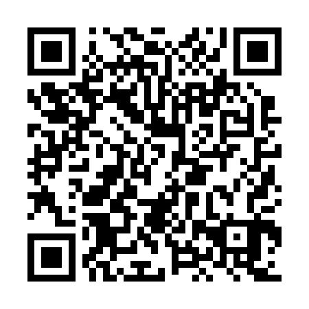 QR code for plate LHZ 203