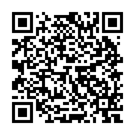 QR code for LIA 295