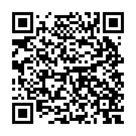 QR code for plate LIB 246