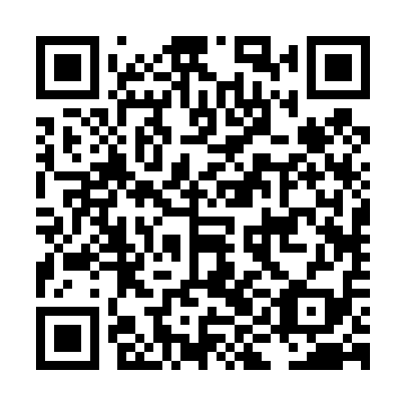 QR code for plate LIB 419