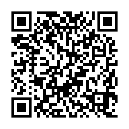 QR code for plate LIB 991